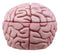 Walking Dead Zombie Brain Jewelry Box Decorative Figurine Zombie Brains Bait Box
