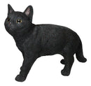 Large Lifelike Mystical Standing Black Cat Kitten Statue With Glass Eyes15"L