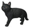 Large Lifelike Mystical Standing Black Cat Kitten Statue With Glass Eyes15"L