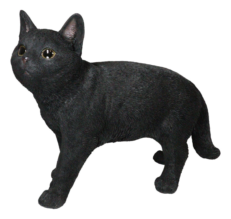 Large Lifelike Mystical Standing Black Cat Kitten Statue With Glass Eyes15"L