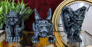 Chained Gothic Stoic Gargoyles Chimera Guardian Figurines Miniature Set 3"Tall