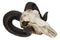 Large Bighorn Ram Skull Wall Decor 11" Wide Taxidermy Hanging Sculpture Plaque