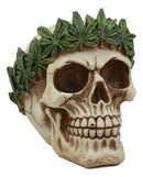 Pot Head Skull Statue 6"Long Gothic Skull With Weed Leaf Laurel Resin Figurine
