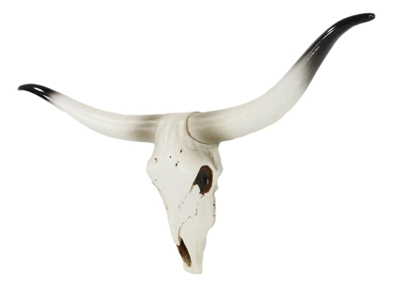 20" L Rustic Western Texas Longhorn Steer Cow Skull Resin Wall Decor Plaque