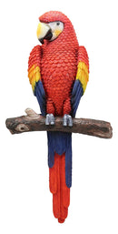 Ebros Colorful Tropical Rainforest Paradise Rio Red Scarlet Macaw Parrot Perching On Branch Wall Hanging Decor Figurine 3D Plaque Sculpture Nature Lovers Birds Collectors Decor 14" Tall