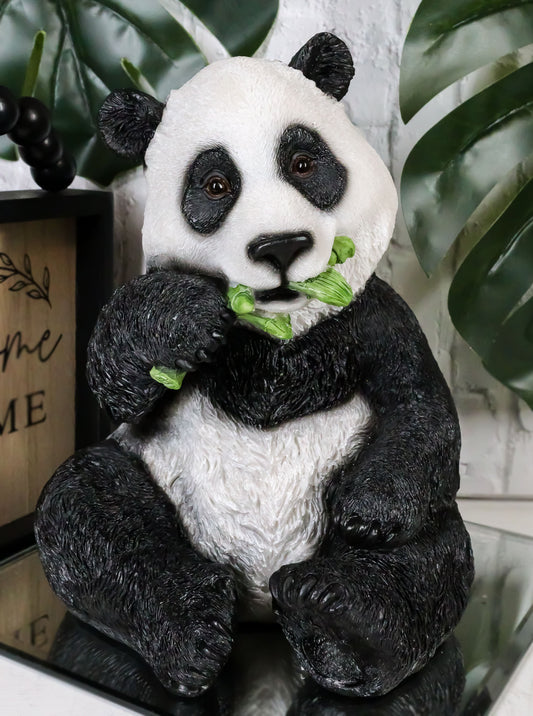 Ebros China Giant Panda Bear Eating Bamboo Statue 8.25" H with Glass Eyes