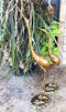 Large Pair Of Lover Birds Crane Mating Dance Outdoor Aluminum Garden Statue