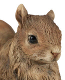 Ebros Standing Chipmunk Squirrel Resin Statue 6.25" Tall Faux Driftwood Finish