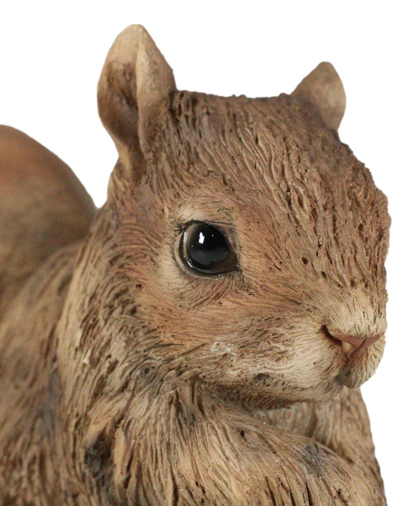 Ebros Standing Chipmunk Squirrel Resin Statue 6.25" Tall Faux Driftwood Finish