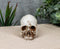 Small Half Jaw Homo Sapiens Skull Figurine Miniature Skull Cranium Sculpture