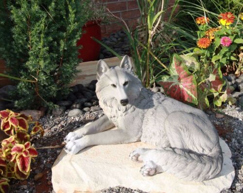 Resting Wise Gray Lone Wolf Figurine Timberwolves Pack Decorative Decor Statue - Ebros Gift