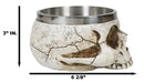Metaphysical Positive Energy Wicca Spiritual Divinity Skull Smudge Smudging Bowl
