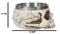 Metaphysical Positive Energy Wicca Spiritual Divinity Skull Smudge Smudging Bowl