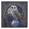 Ebros Witching Hour Pentagram Owl On Scrying Ball Spell Keeper Decorative Jewelry Box