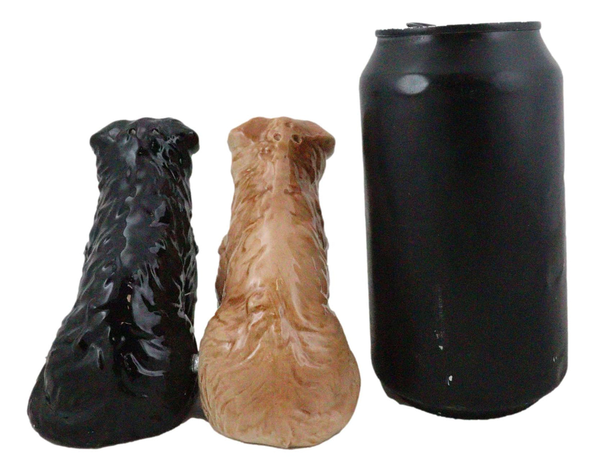 Adorable Brown and Black Border Collie Dog Puppy Ceramic Salt Pepper Shaker Set - Ebros Gift