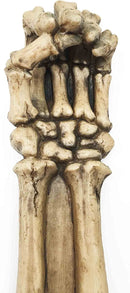 Skeleton Arm Hand Incense Burner Burnt Skeletal Bone Chilling Offering Decor Figurine