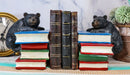 Ebros Rustic Wildlife Bear Cubs Climbing Stack Of Books Bookends 2 Figurine Set