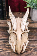 Ebros Dragon Head Skull Realistic Fossil Wall Sculpture Or Desktop Statue 8.25"L