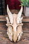 Ebros Dragon Head Skull Realistic Fossil Wall Sculpture Or Desktop Statue 8.25"L