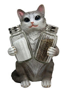 Ebros American Shorthair Grey Kitty Cat Spice Salt Pepper Shakers Holder Figurine