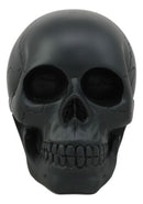 Ebros Charcoal Black Voodoo Skull Statue Cranium Decor Figurine Collectible