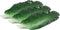 Ebros 12"L Ceramic Fresh Hearty Red Leaf Lettuce Shaped Serving Plate SET OF 3 - Ebros Gift