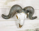 Rustic Majestic Texas Corsican Ram Skull With Horns Wall Decor Trophy 13"Wide