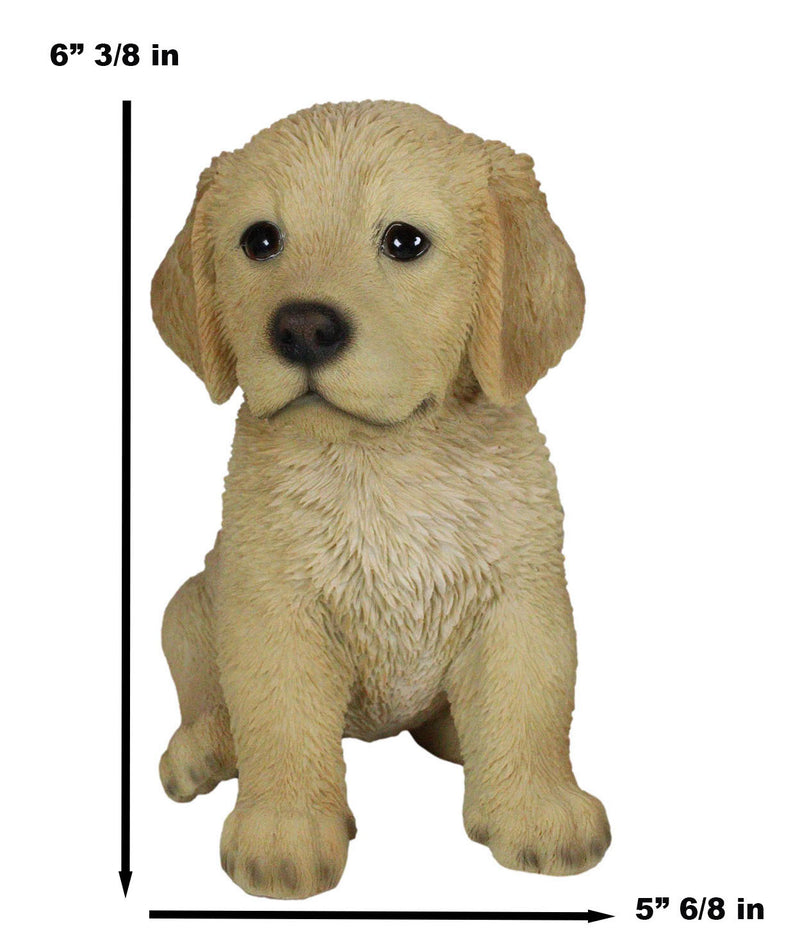 Realistic Lifelike Fawn Golden Retriever Puppy Figurine 6.5"Tall Animal Dog