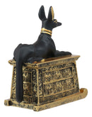 Ebros Egyptian God Hieroglyphic Anubis Dog Egyptian Miniature Cartouche Box