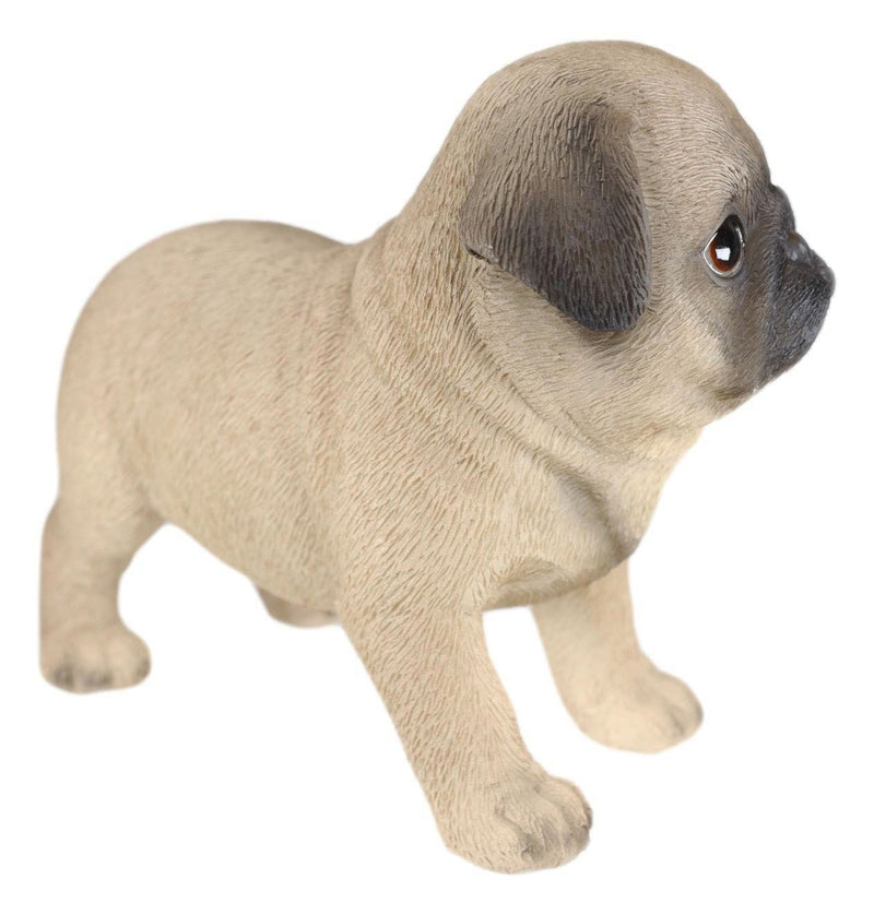 Ebros Realistic Adorable Fawn Pug Puppy Dog Figurine 5"L Pet Pal Pugsy