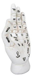 Psychic Fortune Teller Chirology Palmistry Hand Palm With Lines Mounts Figurine