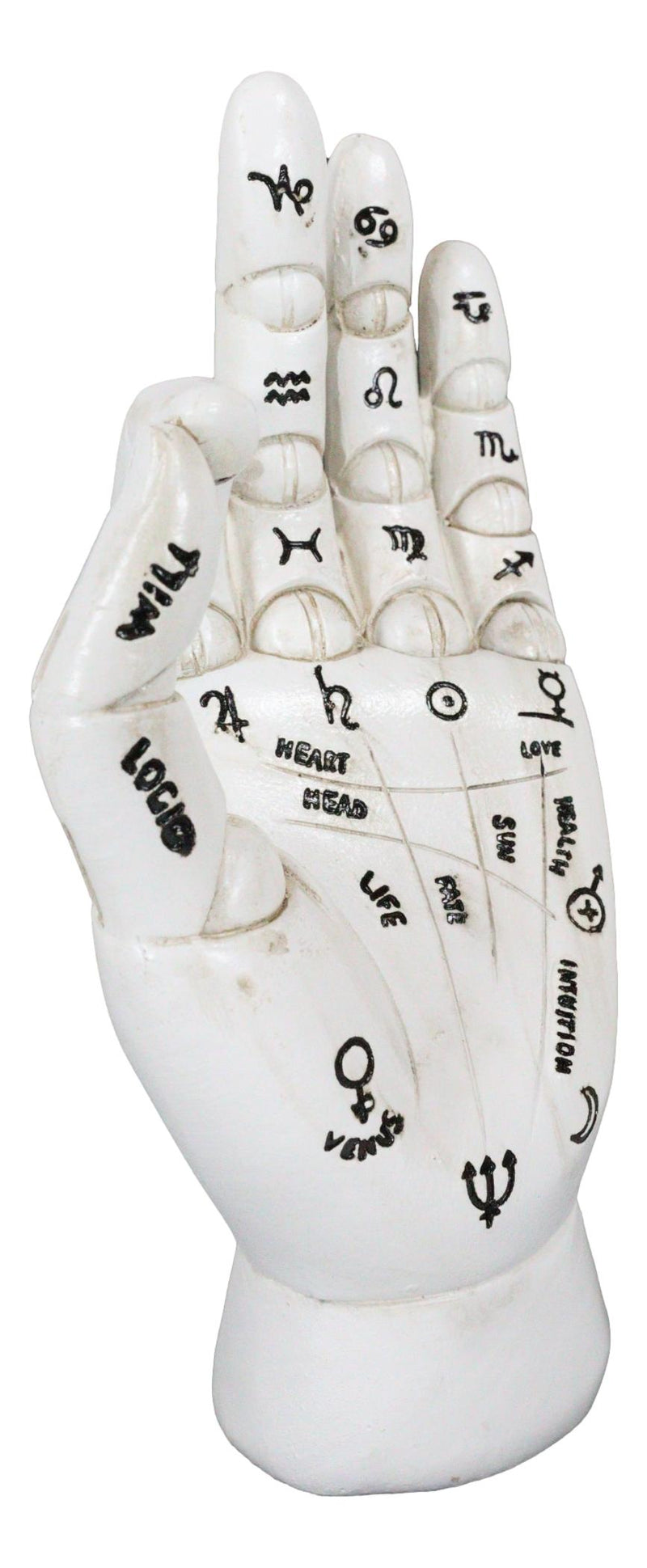 Psychic Fortune Teller Chirology Palmistry Hand Palm With Lines Mounts Figurine