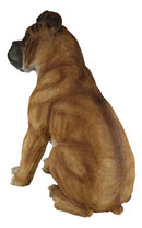 Large 16"H Adorable Realistic Sitting Fawn Boxer Muscle Dog Decorative Statue