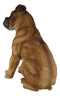Large 16"H Adorable Realistic Sitting Fawn Boxer Muscle Dog Decorative Statue