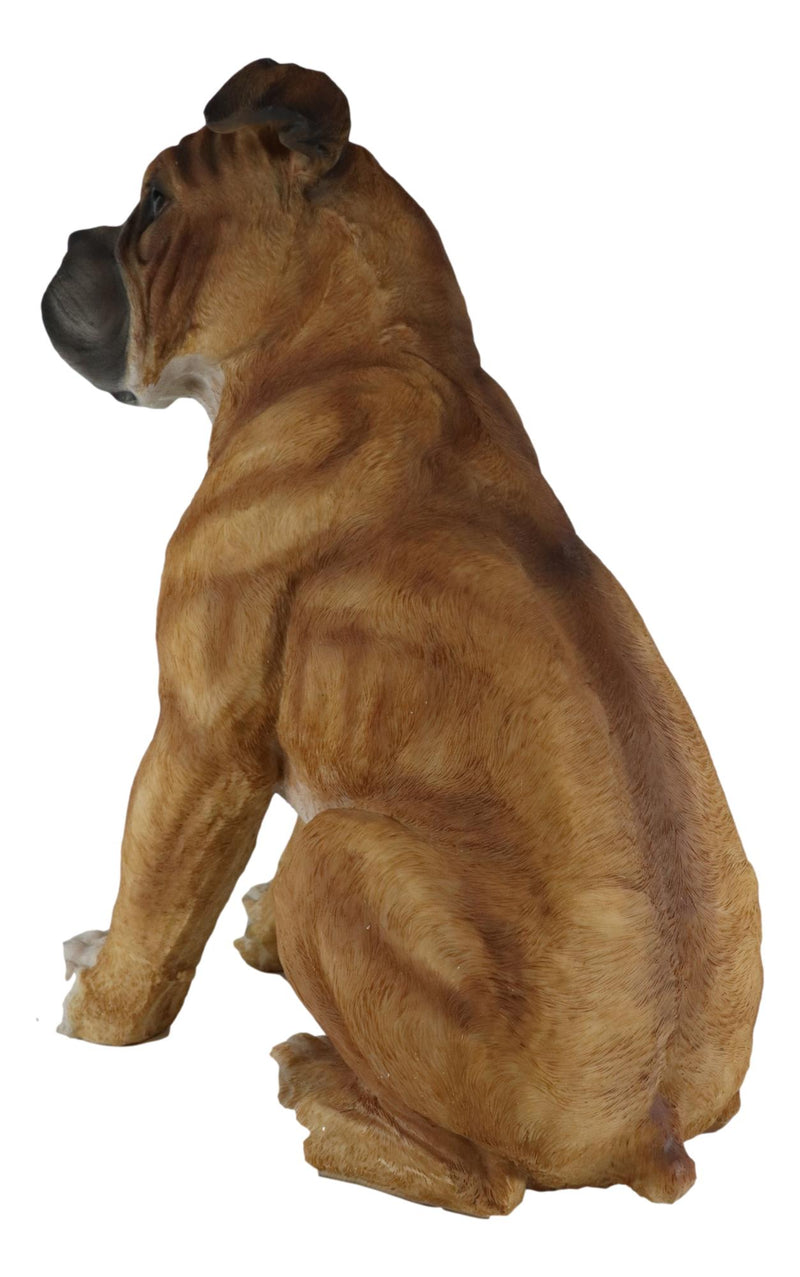 Large 16"H Adorable Realistic Sitting Fawn Boxer Muscle Dog Decorative Statue