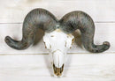 Rustic Majestic Texas Corsican Ram Skull With Horns Wall Decor Trophy 13"Wide