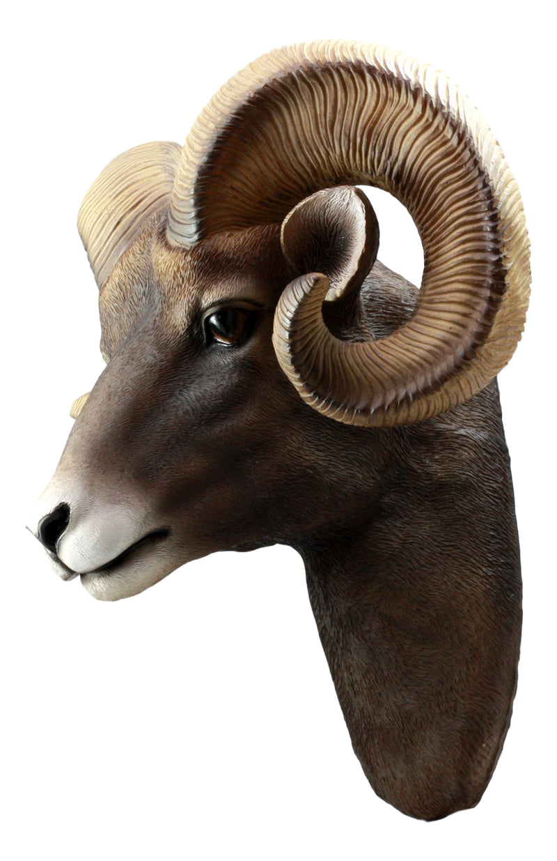 Rocky Mountains Bighorn Ram Trophy Taxidermy Wall Decor Sculpture Hanging Plaque