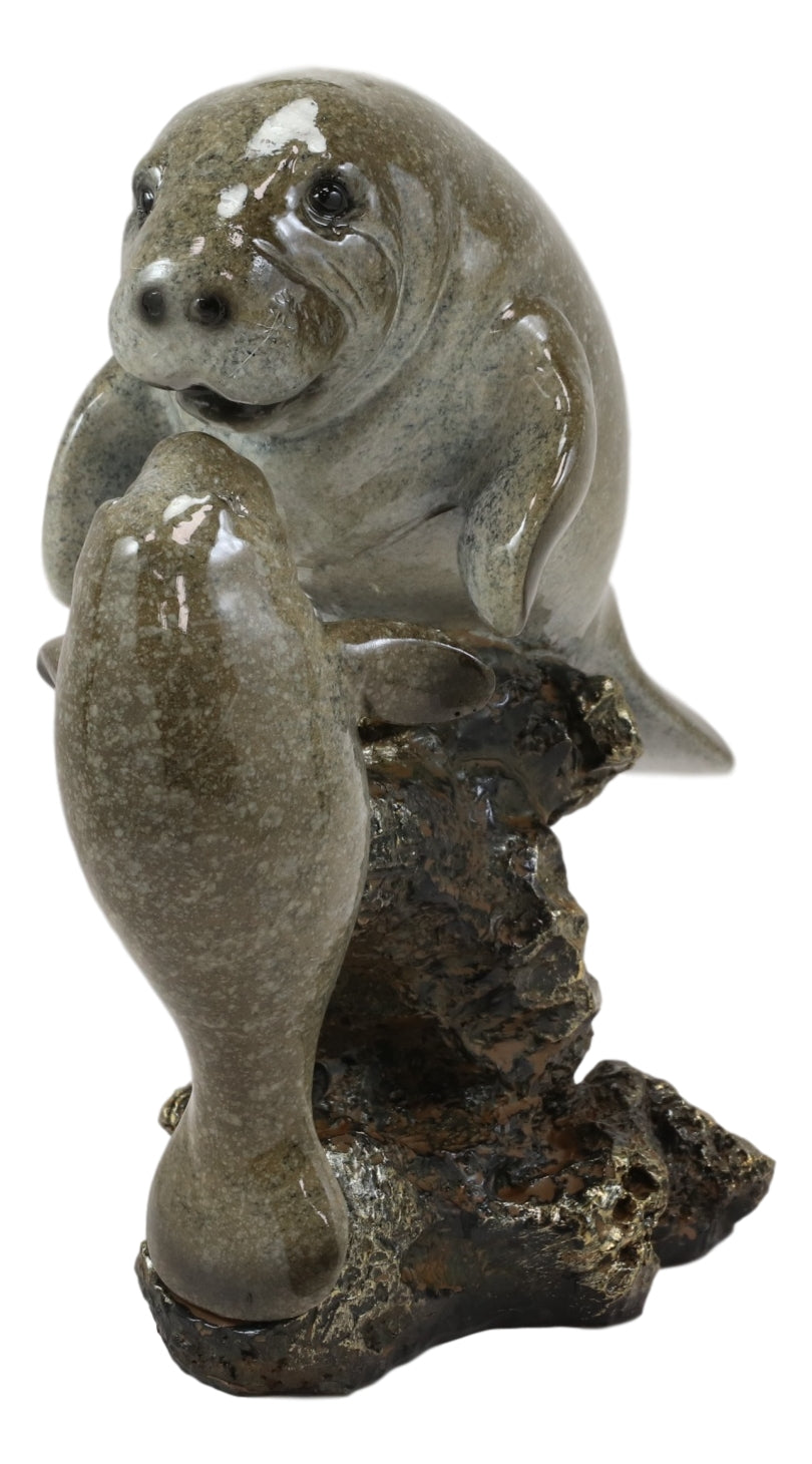 Ebroos Nautical Coastal Antillean Manatee Sea Cow With Calf By Coral Rocks Decor