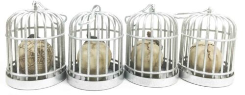 Skull Caged Human Warrior Tattoo Skulls Skeleton Figurine Miniature Set Ornament