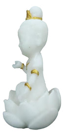 Cultural Art Amitabha Buddha Seated On Lotus Feng Shui Zen Vastu Mini Figurine