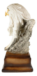Ebros Large Glorious Surveyor Of Horizons Grand Bald Eagle Bust Statue Decor Figurine
