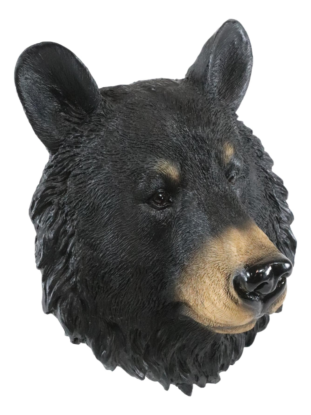 Ebros Gift The Brave Black Bear Head Wall Decor Plaque 8"H Wall Decor Plaque - Ebros Gift