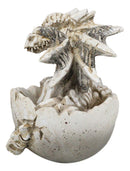 Ebros 4.5" Long Skeleton Bone Wyrmling Dragon Hatchling From Egg Statue Figurine - Ebros Gift