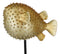 Coastal Marine Faux Taxidermy Golden Pufferfish Fish Sculpture On Pole Mount