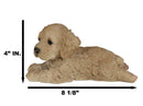 Realistic Adorable Cockapoo Spoodle Puppy Dog Lying On Belly Figurine Pet Pal