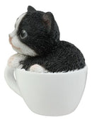 Ebros Lifelike Tuxedo Black and White Cat Teacup Pet Pal Statue 3" Tall Kitten Kitty with Glass Eyes Decor Figurine