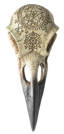 Ebros Pentagram Omega Alchemy Raven Crow Skull Figurine with Carved Rune Symbols
