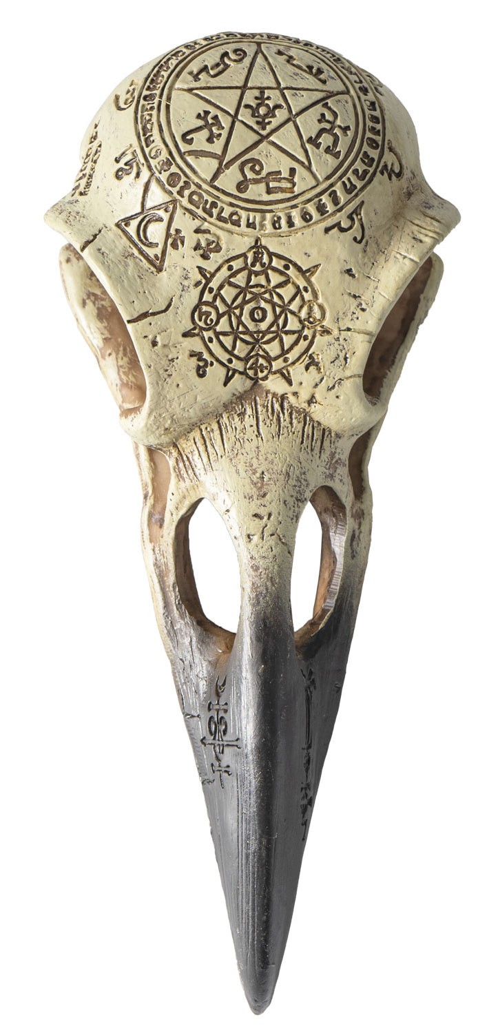 Ebros Pentagram Omega Alchemy Raven Crow Skull Figurine with Carved Rune Symbols