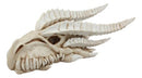 Large Dragon Fossil Skull Statue 14.5"L Archaeology Dragon Skeleton Wall Decor