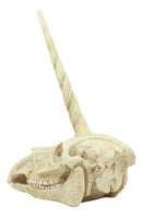 Ebros Fossil Unicorn Skull Rare Mythical Phantom Creature Skeleton Figurine